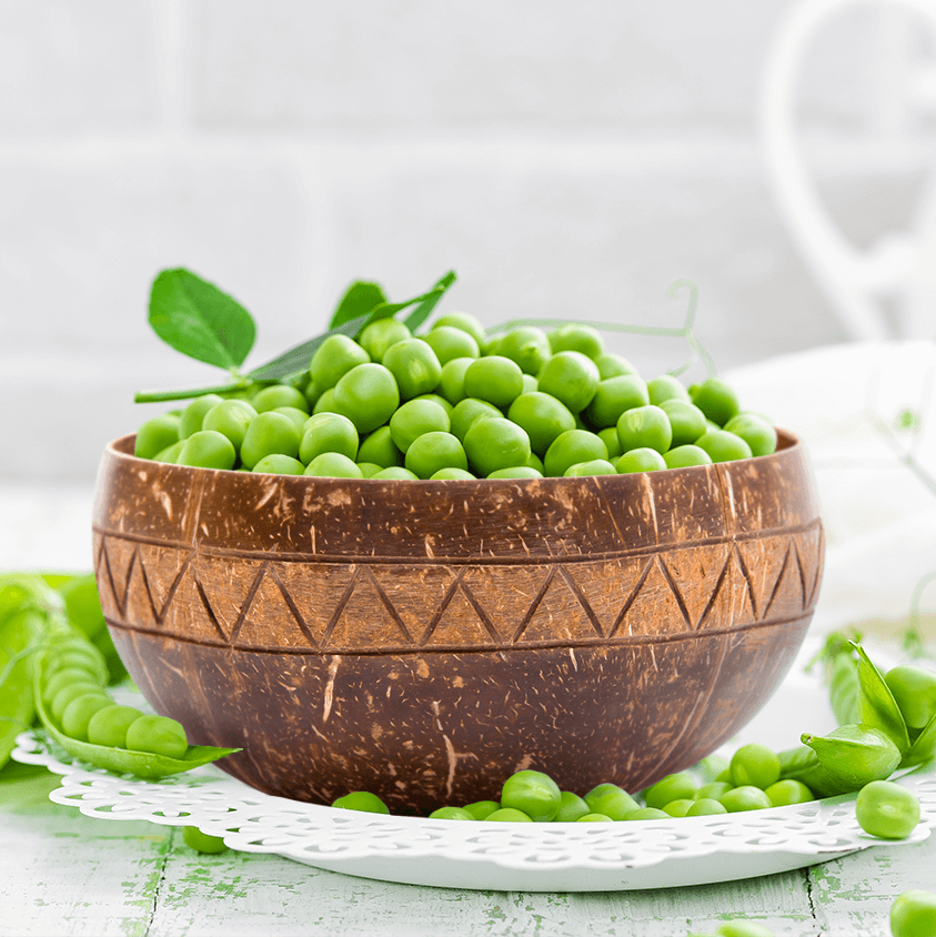 Handcrafted Zigzag Coconut Shell Bowl