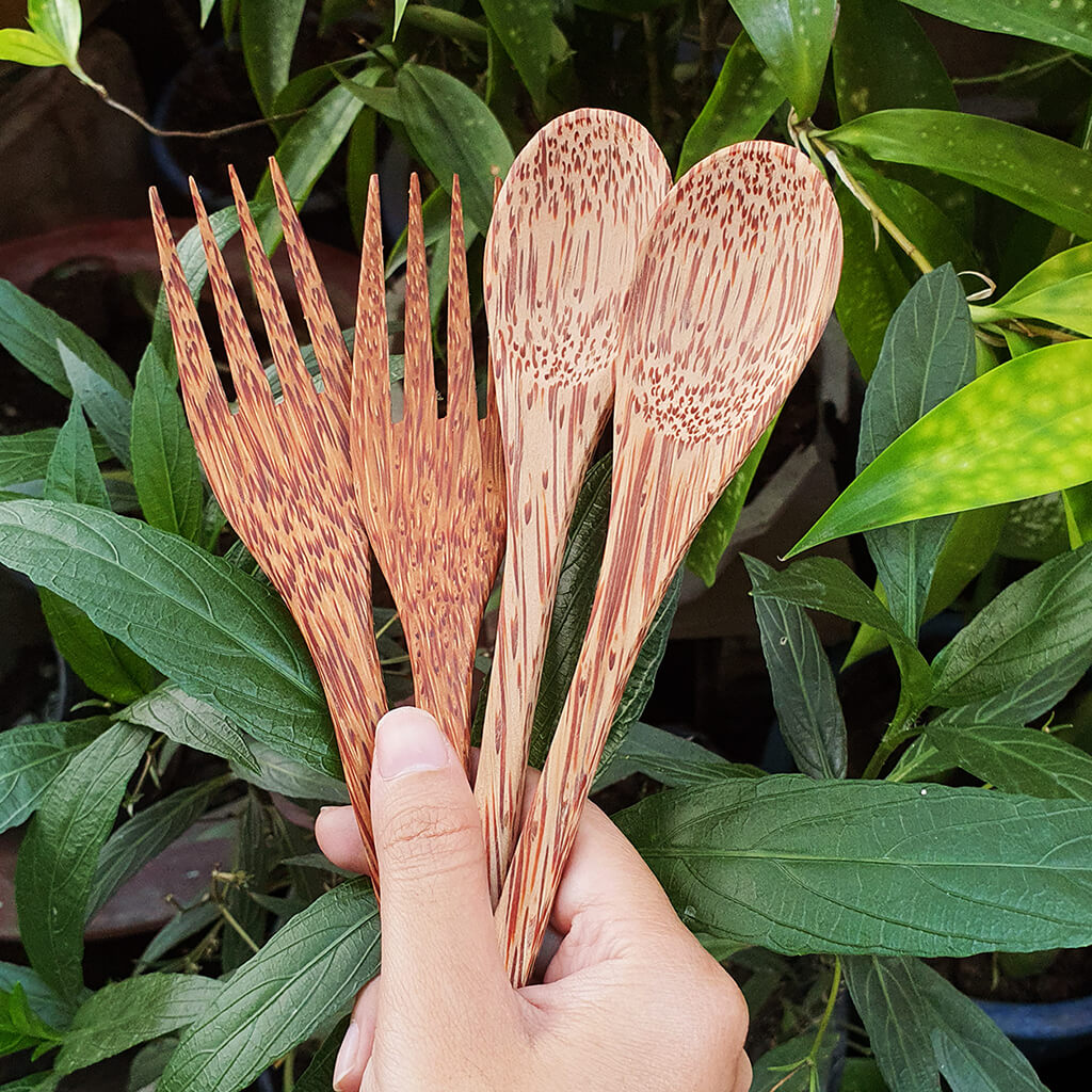 Handcrafted Natural Coconut Wood Utensils