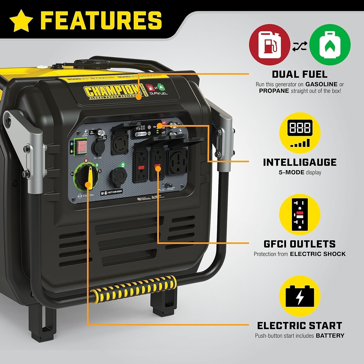 Dual Fuel Inverter Generator 8500W Electric Start