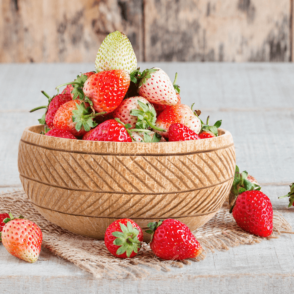 Handcrafted Feather Coconut Shell Bowl